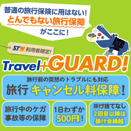 トラベルプラスガード