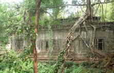 密林遺跡ベンメリア観光