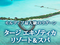 タージエキゾティカ