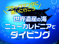 世界遺産の海ニューカレドニアでダイビング