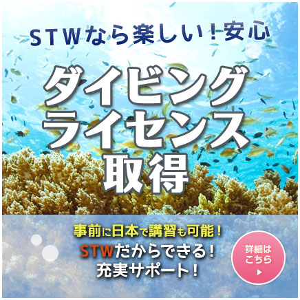 ライセンス取得
