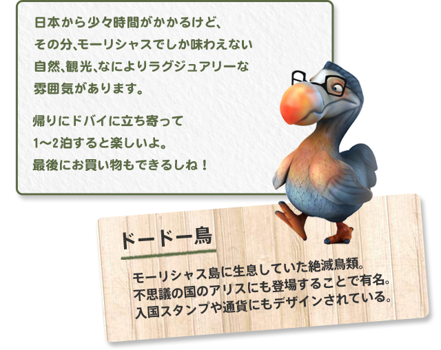 日本から少々時間がかかるけど、その分、モーリシャスでしか味わえない自然、観光、なによりラグジュアリーな雰囲気があります。帰りにドバイに立ち寄って1~2泊すると楽しいよ。最後にお買い物もできるしね!