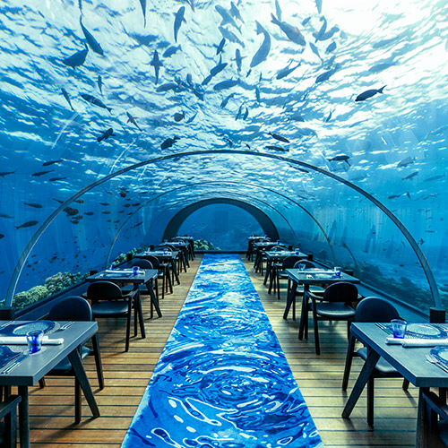 水中レストランイメージ2