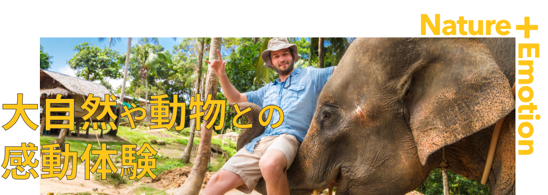 大自然や動物との感動体験